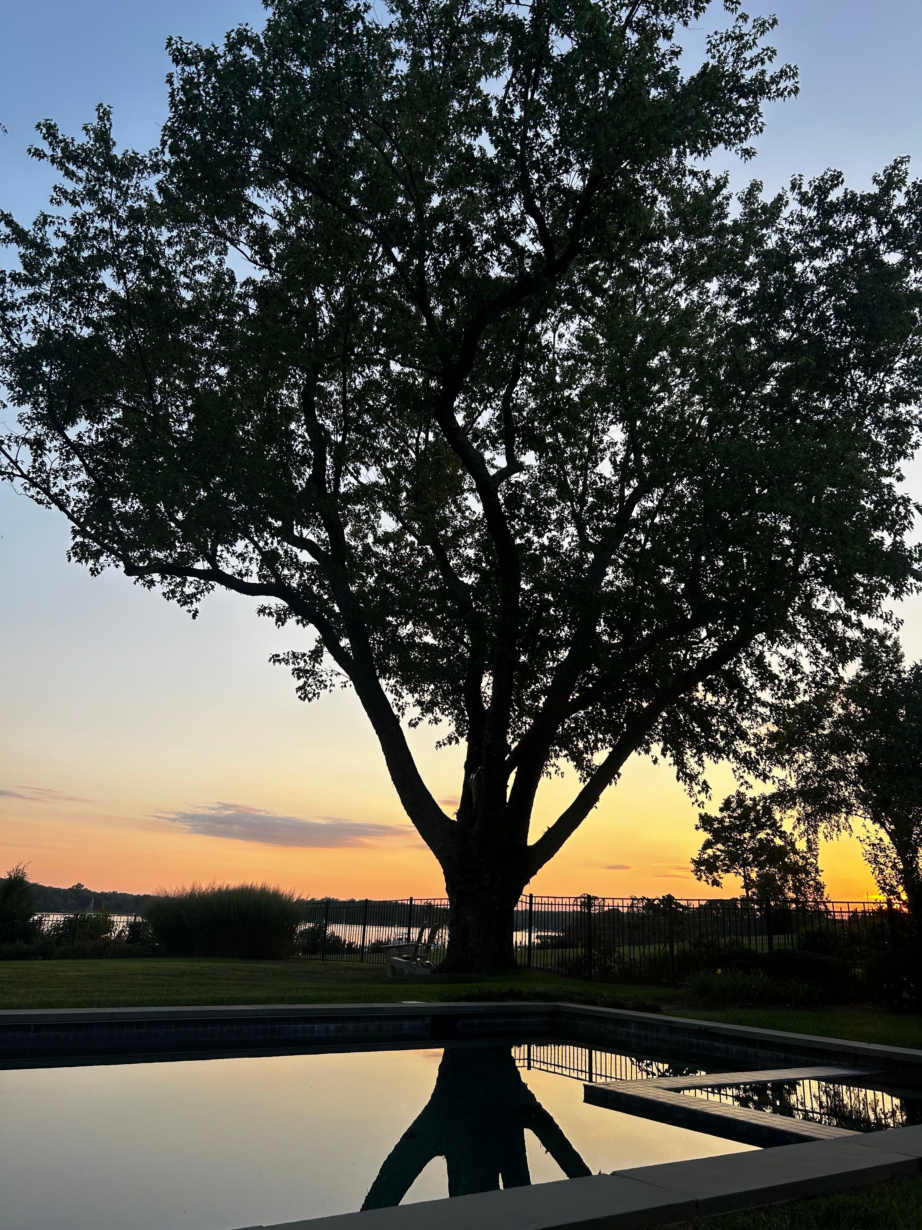 Tree silhouetted over the pool at sunset, river beyond
